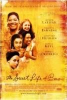 dwonloads filme free the secret life bees